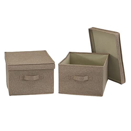 Household Essentials Large Storage Box with Lid in Breathable Canvas and Convenient Handle, Latte Brown, Set of 2