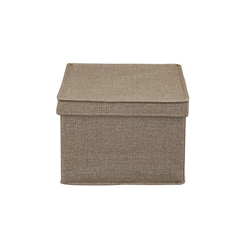 Household Essentials Large Storage Box with Lid in Breathable Canvas and Convenient Handle, Latte Brown, Set of 2