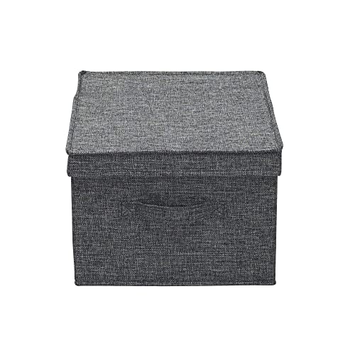 Household Essentials Large Storage Box with Lid in Breathable Canvas and Convenient Handle, Graphite Grey, Set of 2