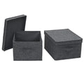 Household Essentials Large Storage Box with Lid in Breathable Canvas and Convenient Handle, Graphite Grey, Set of 2